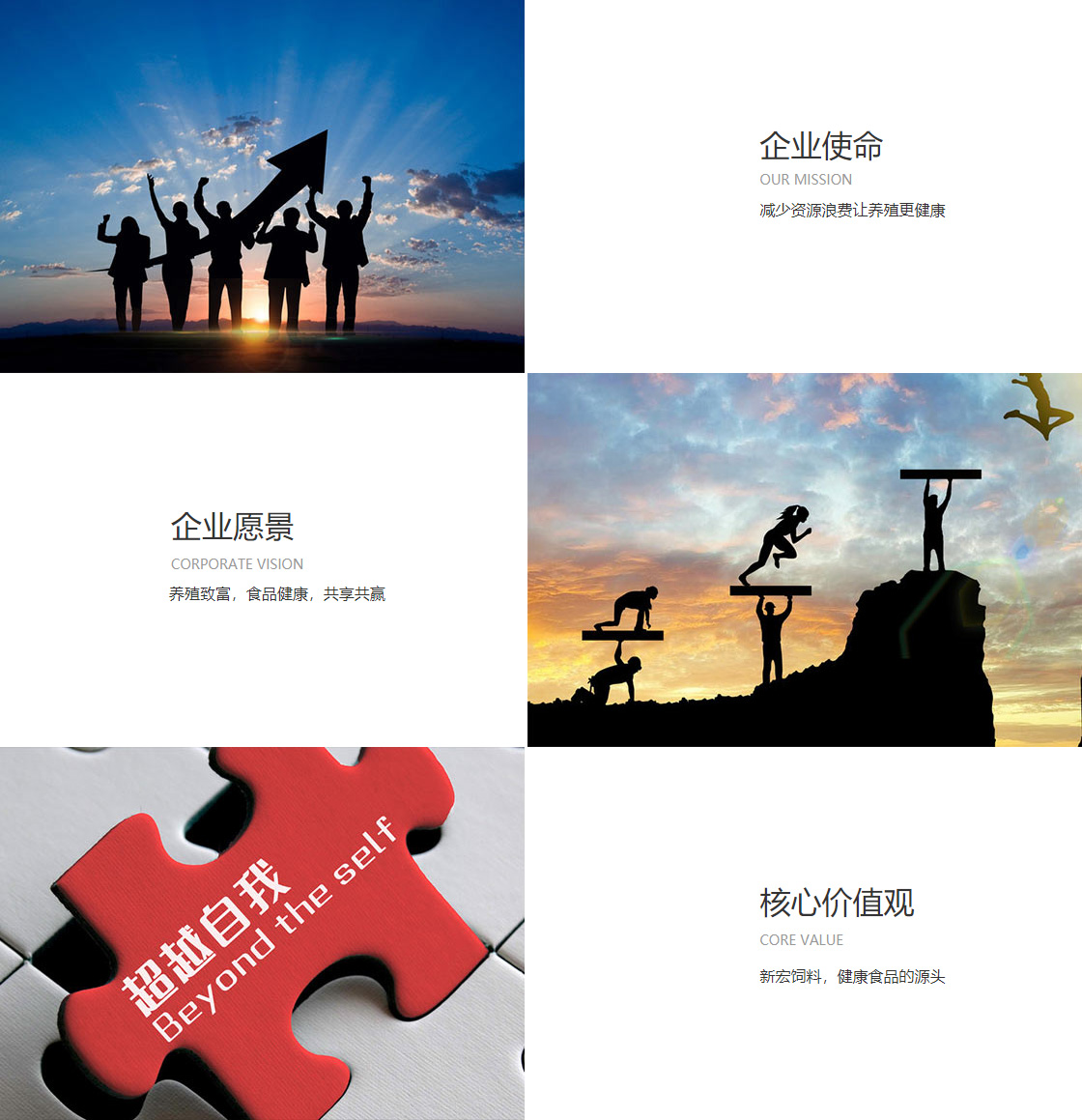 678体育(图1)